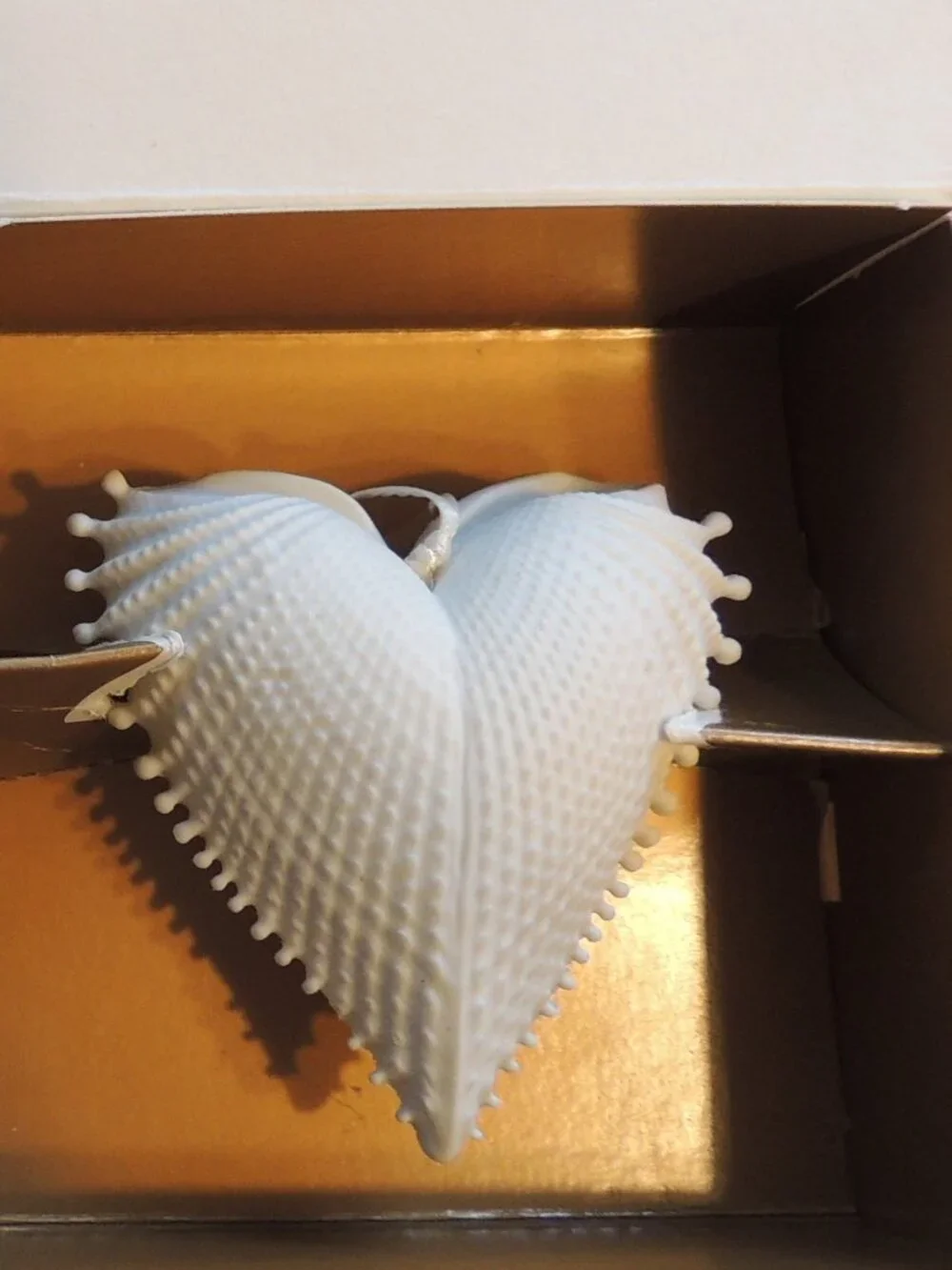 TWO Margaret Furlong Wings of Love